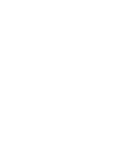 Soft white angel wing