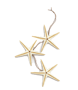 Star fish with rope