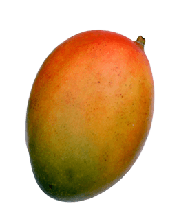Tasty and juicy mango