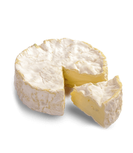 Tasty cheese camembert