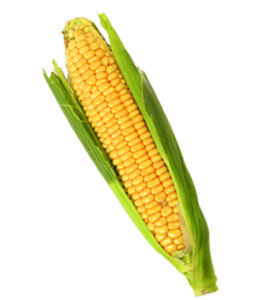 Tasty corn