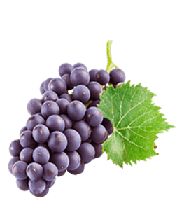 Tasty grapes