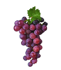 Tasty & juicy grapes