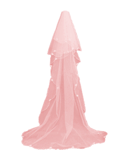 Transparent Wedding Veil
