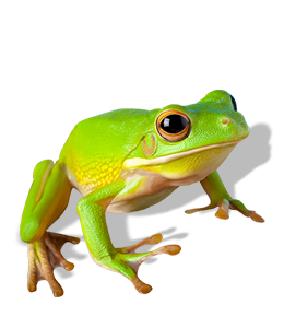 Green Treen Frog