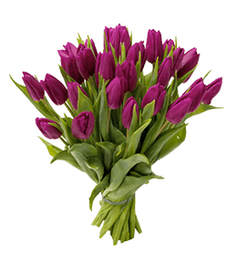 Tulip Flower bouquet