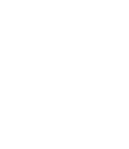 Use Kia logo