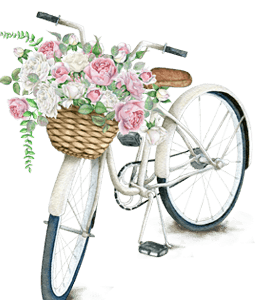 Vintage bicycle with flowers in basket