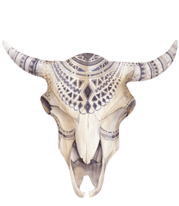 Watercolor of cattle skull with decoration
