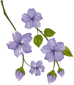Watercolor painting of periwinkle flowers