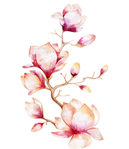 Watercolor pink blossom flowers