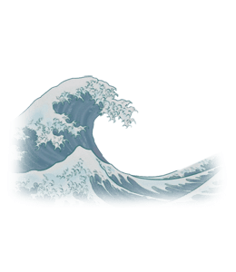 Wave in ocean