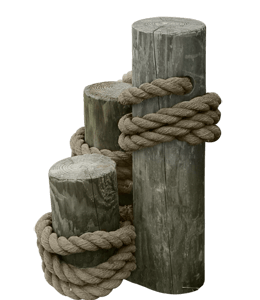 Weathered wooden stumps with rope
