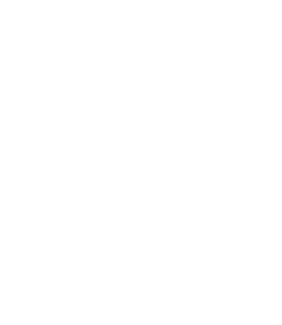 White rangoli pattern
