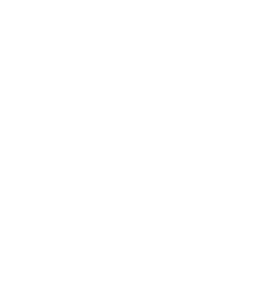 White snowflake