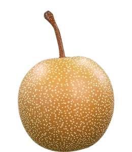White Spotted Pear